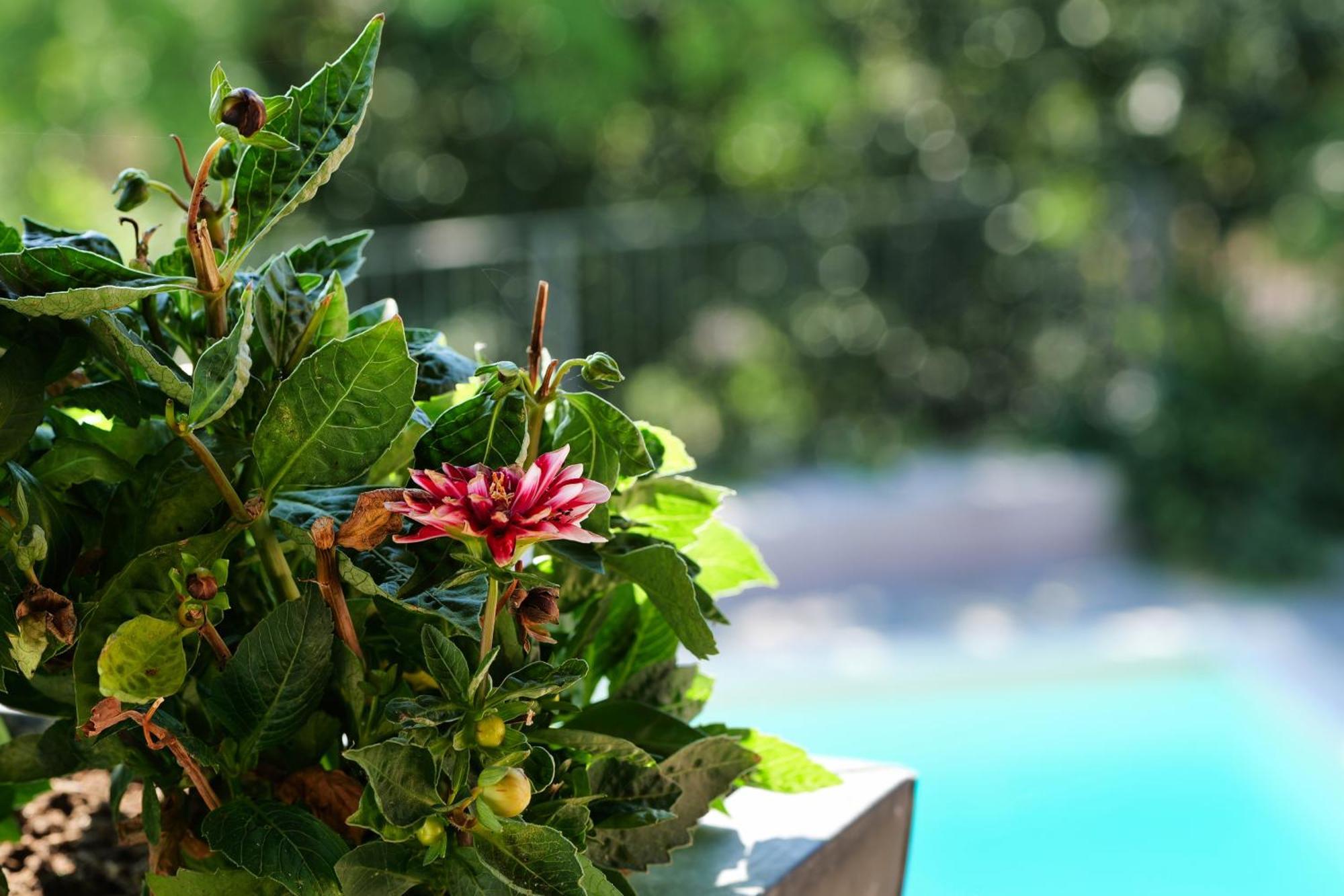 Bed and Breakfast Viavai Casalborgone Exterior foto